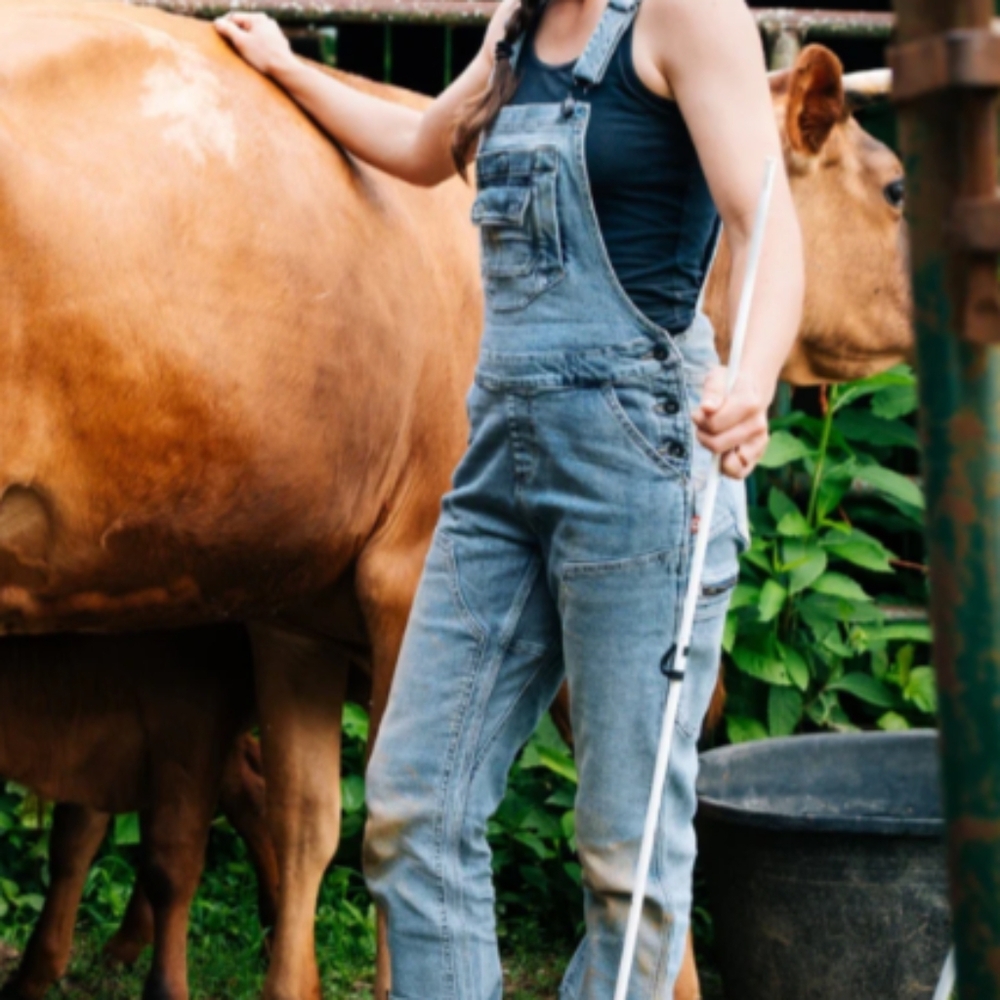Dovetail Workwear "Freshley" Overalls In Vintage Indigo